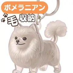 Item thumbnail for item 0d04b71a-20f0-4553-b53f-131496944c6c