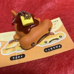 メープルシー シュモクザメ