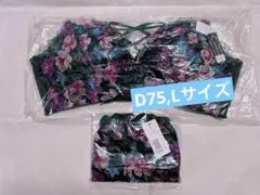 Item thumbnail for item 71425e1c-564c-4d21-9679-f709db11719d