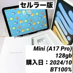 iPad mini（A17 Pro） セルラー BT100% sim フリー