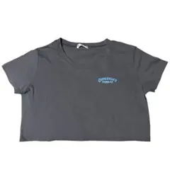 Tシャツ ショート丈 グレー 英文字 Lサイズ