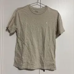 Polo Ralph Lauren Tシャツ L/G (14-16) 160