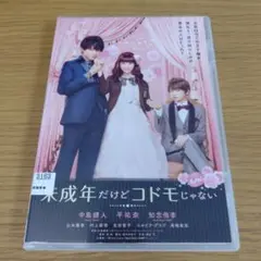 レンタル落ちDVD 未成年だけどコドモじゃない