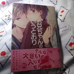 お兄ちゃんのいうとおり
