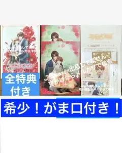 ハイブリッドチャイルド　中村春菊　グッズ　特典ビニール袋未開封　レア　BL 2巻