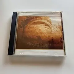 Aphex Twin Selected Ambient Works