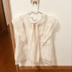 【洗える】【2WAY】シアーボウタイラッフルフリルブラウス　キナリ / FREE