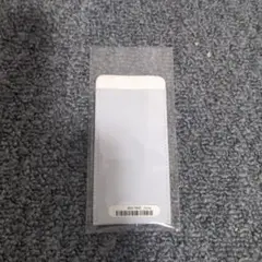【未使用品】iPod nano付属　純正ケース　レザー