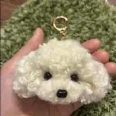 ＊うるうるトイプードル　毛糸キーホルダー＊ぬいぐるみマスコット　アプリコット　犬