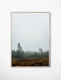 Item thumbnail for item b6164c48-23d3-43b6-bac1-371c0887c22c