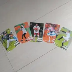 プロ野球 始球式 bbm