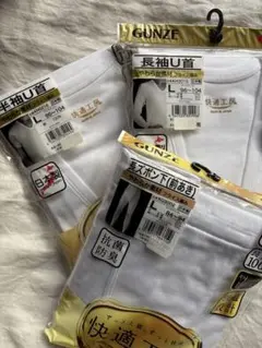 Item thumbnail for item 7e53dfed-6aa6-4ad2-b896-f4aa19246ce9