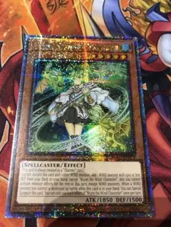 遊戯王 北米版 風霊媒師ウィン 25thシク 英語版 1st クオシク