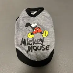 Item thumbnail for item a59160fc-8442-4460-a286-5798923b94f0