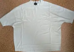 ☆美品　ピグメント加工　ドルマンT ベージュ　L