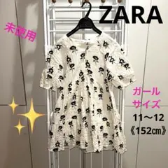 ZARAパネルワンピース