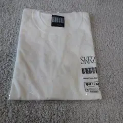 Item thumbnail for item d5f3bf0b-3c7c-492e-89a1-abb94424078d