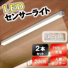 人感センサーライト LED 20cm 2個セット タイプC充電 昼白色 自動点灯