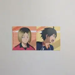 ハイキュー!! アニメイトフェア 特典 孤爪研磨 山口忠