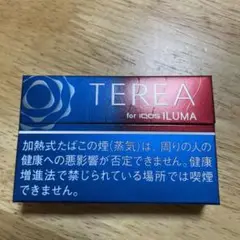 テリア ベリーレギュラー