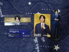 トリリオンゲーム Haru アクリルスタンド＆コスチュームライオン