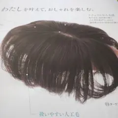 【新品未使用】シャルレ　ダークブラウン Cカール 頭頂部ウィッグ