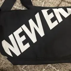 Item thumbnail for item 441a2955-5590-4bb2-86dd-a218ec66858d