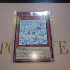 マルチャミーフワロス　1枚