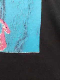 anvilニルヴァーナ00sNIRVANAスリバーSLIVERビンテージTシャツ