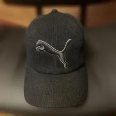 Item thumbnail for item ba82b18a-b7bc-4274-a234-acd1a3470458