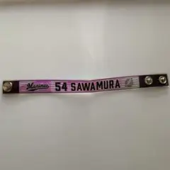 澤村拓一　オーロラバンド