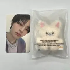 straykids スキズ SKZOO micro foxl.ny I.N