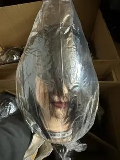 Item thumbnail for item 6922adaa-6543-49f2-b492-94ae61da28ba