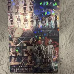 RIZIN ポテトスティック4種