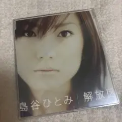 島谷ひとみ 解放区