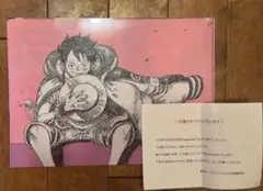 ワンピースマガジン 特製クリアファイル２種セット 抽選プレゼント 未開封 抽プレ 入園入学祝い Amazon.co.jp: ONE PIECEマガジンVol16 当選品