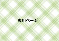 専用ページ