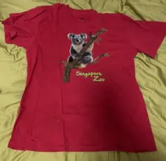 アメリカ古着　動物園 コアラ Tシャツ 赤