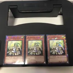 ①ガスタの巫女ウィンダ　ノーマルパラレル3枚 DT10-JP023