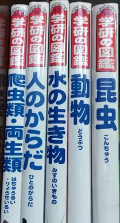 NEW WIDE 学研の図鑑 5冊セット