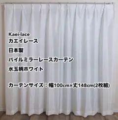 カエイレース パイルミラーレースカーテン水玉柄WH幅100cm×丈148cm2枚