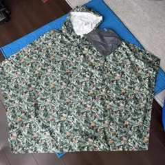 Item thumbnail for item dd47517e-1cc3-4dfb-ac33-dd39ad6f0606