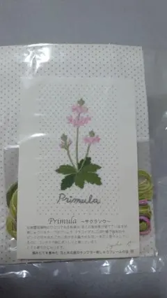 クチュリエ 青木和子 「花と木の実のサンプラー」サクラソウ