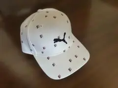 Item thumbnail for item faef1f27-4919-473a-8727-411a4ec62454