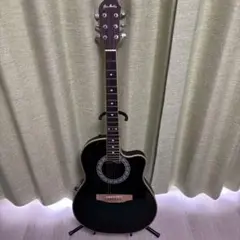 2025年最新】エレアコ pro martinの人気アイテム - メルカリ