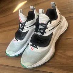 Item thumbnail for item 2c5a9e6a-859a-484b-903c-4472c2d1a944