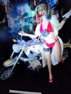 TBLeague1/6【ハーレー・クイン＆BMWR1200C】DX2セット
