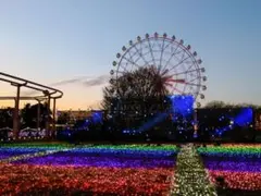 みーたん様専用ページ