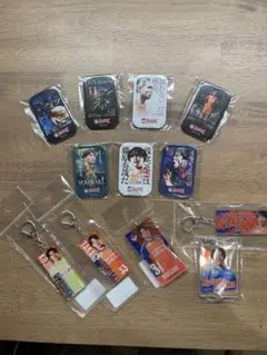 アルビレックス新潟　キーホルダー&缶バッチ
