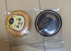 ジャイアンツ エニマイ くじ オオシーサー 大城卓三